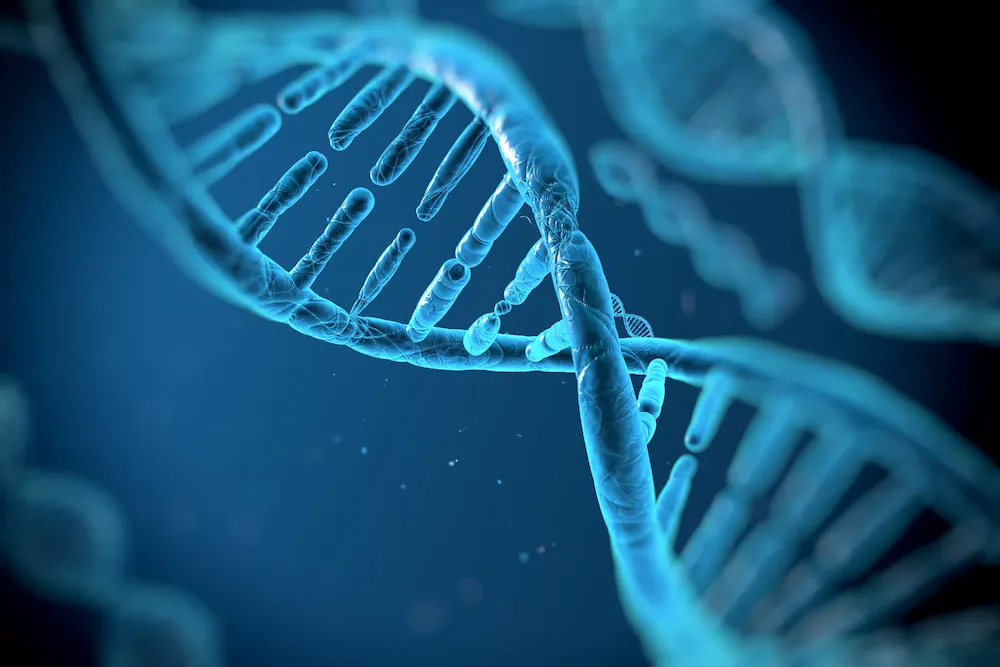 DNA 片段化指数
